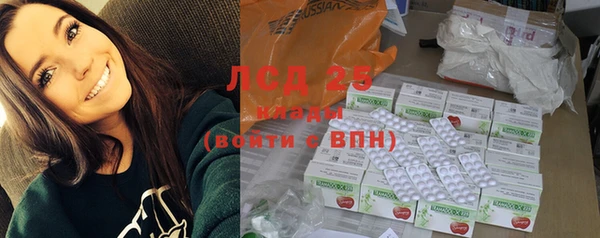 гашик Лагань