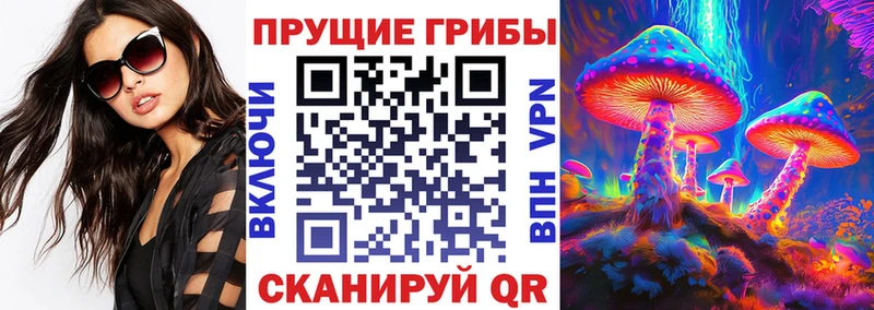 Галлюциногенные грибы Psilocybine cubensis  Ленинск-Кузнецкий 